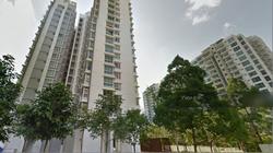 Blk 270B Punggol Field (Punggol), HDB 4 Rooms #153071992